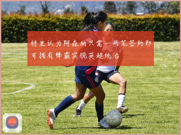 特里认为阿森纳只需一两笔签约即可拥有锋霸实现英超统治